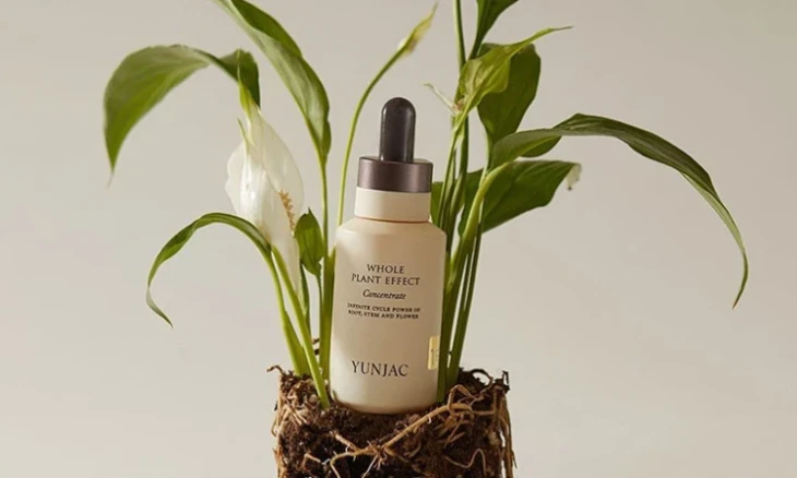 Korejska kozmetika koja se temelji na isceliteljskoj moći bilja - YUNJAC